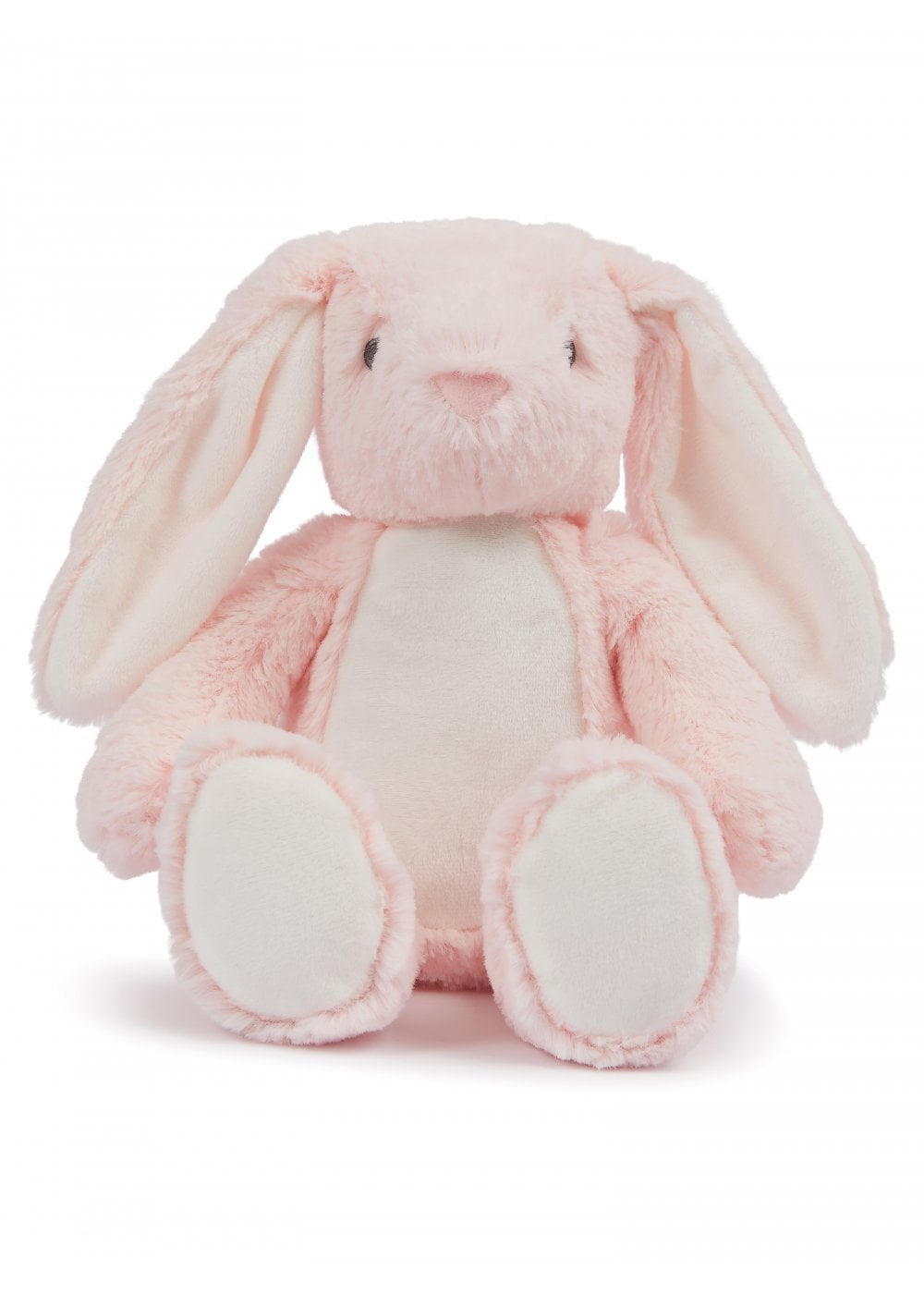 Photo Teddybear.